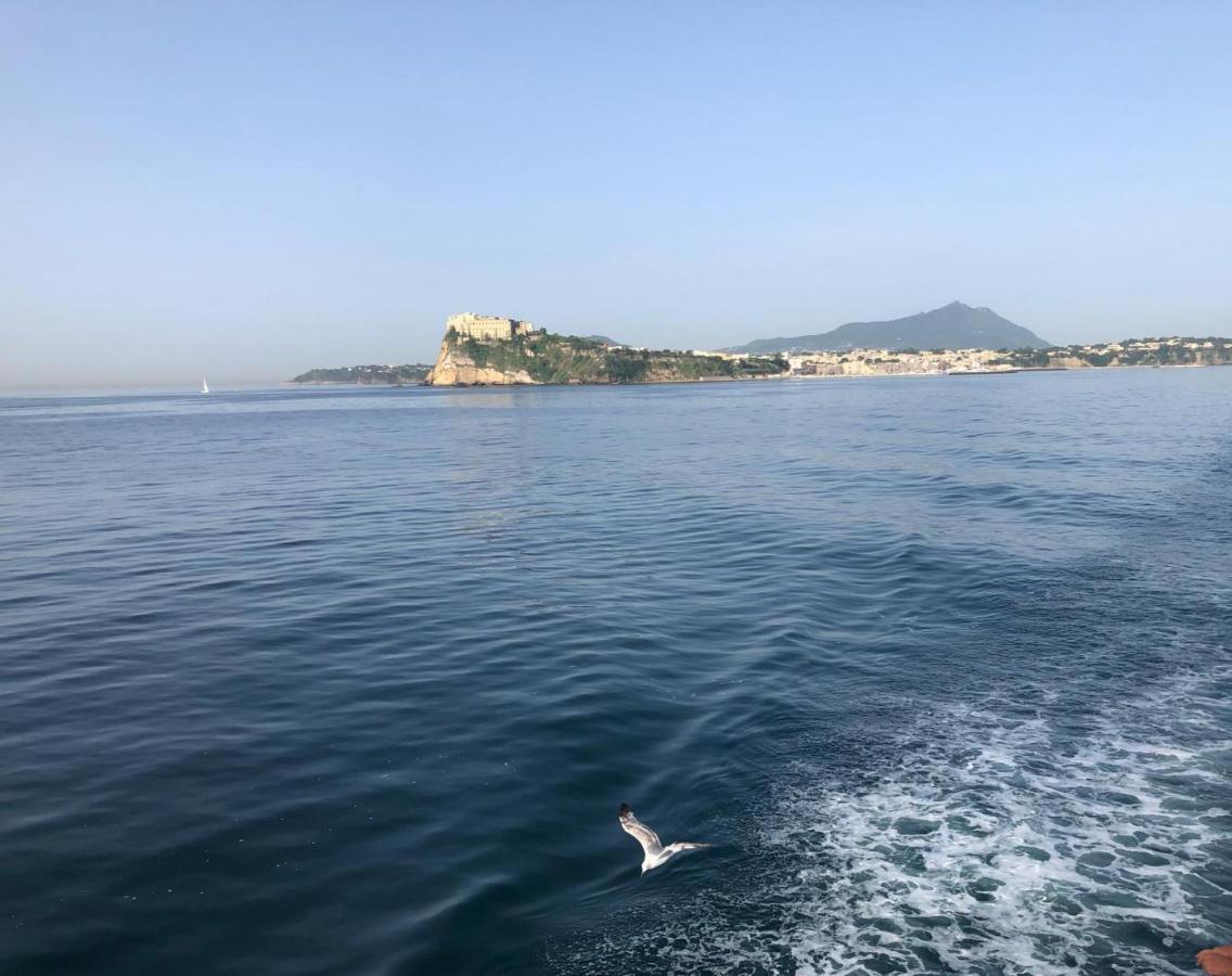 Vento Di Mare Bed & Breakfast Procida Exterior photo